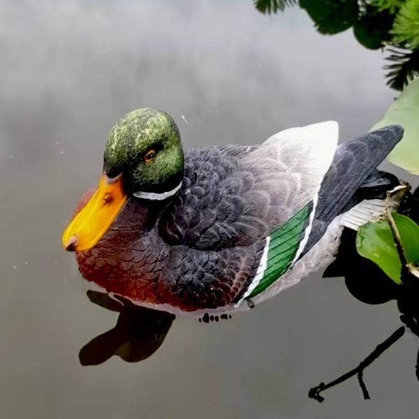 Плаваюча качка 00225 фото